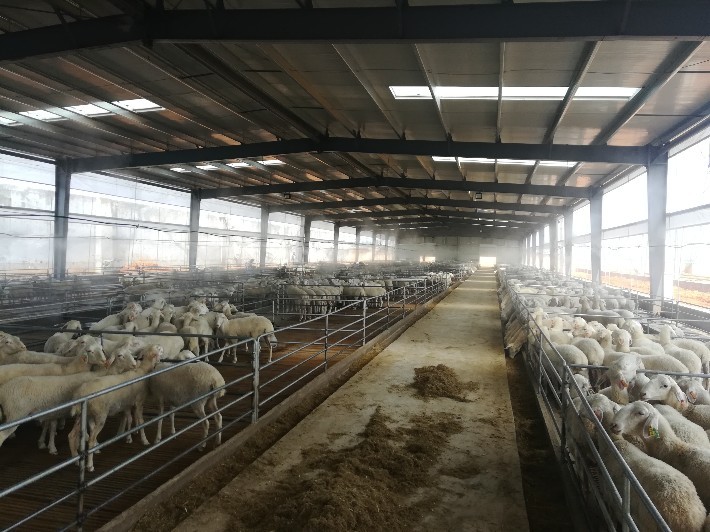 养殖废气处理方案