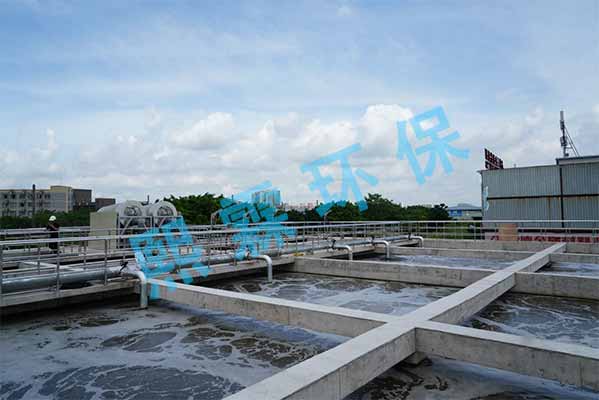 港澳联盟宝典全年资料